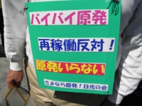 13.6.2反原発1.JPG