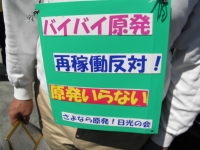 13.6.2反原発1.JPG