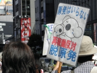13.6.2反原発2.JPG